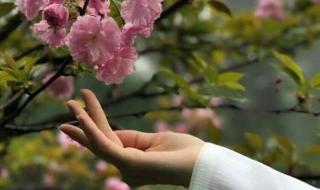 完结高干文推荐 完结高干文推荐